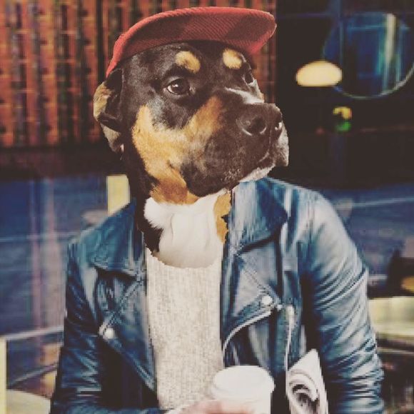 Meet your Posher, Jess - Picture 1 of 1